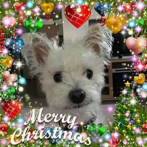 Meet your Posher, Vicki